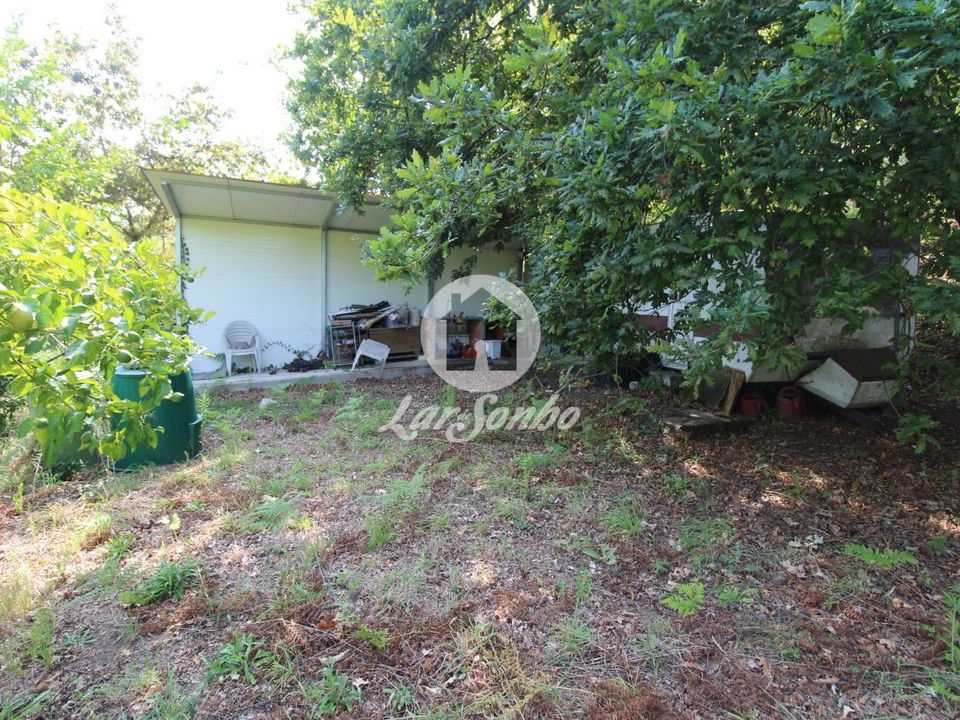 Farm i Vila Verde, Braga - foto 4