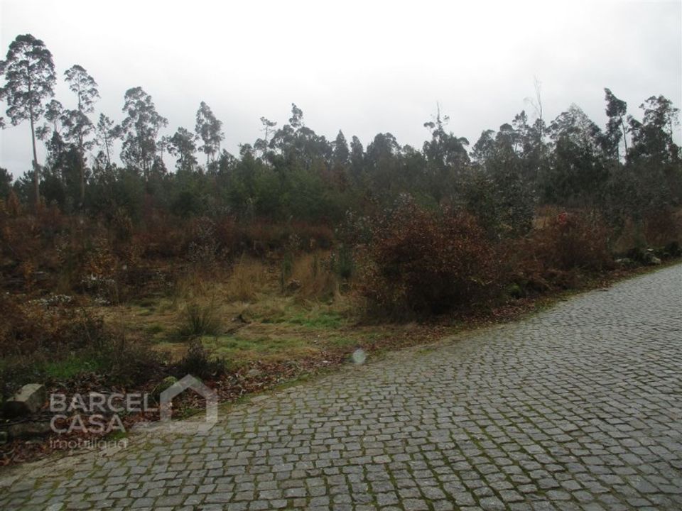 Helårsgrund i Barcelos, Braga - foto 3