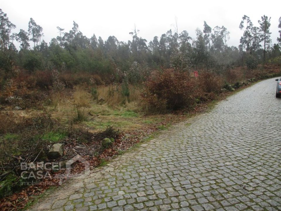 Helårsgrund i Barcelos, Braga - foto 4