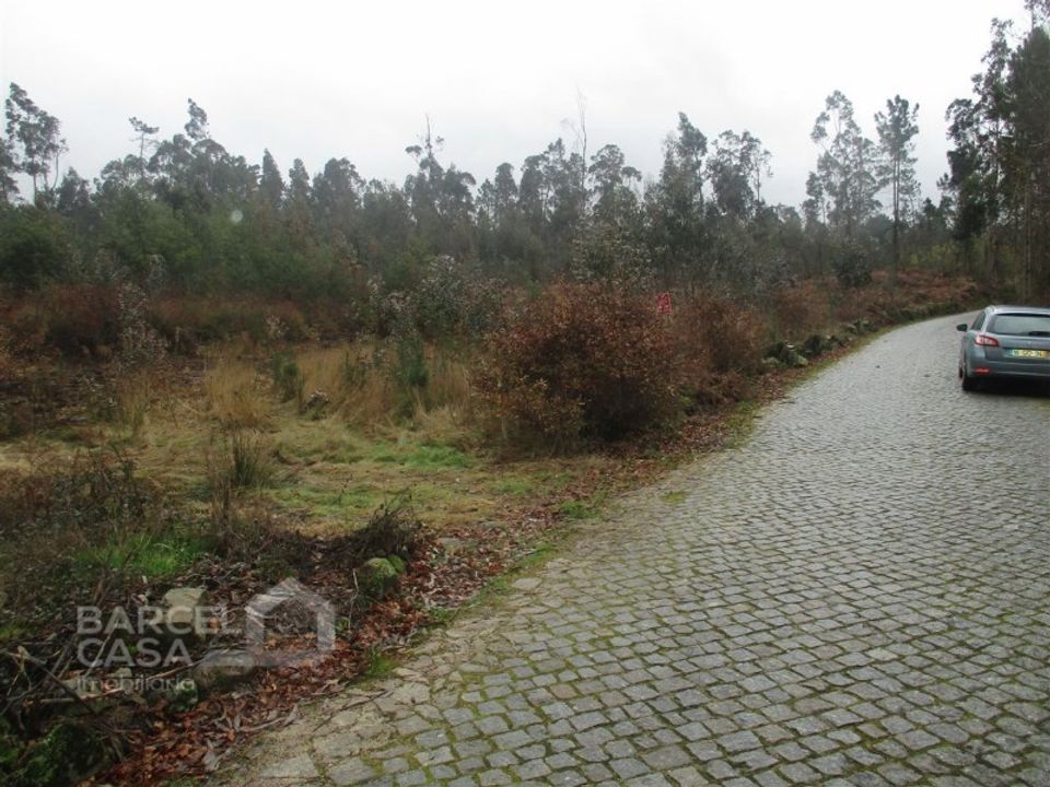 Helårsgrund i Barcelos, Braga - foto 5
