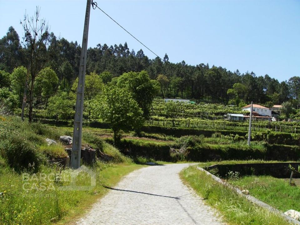 Helårsgrund i Barcelos, Braga - foto 4