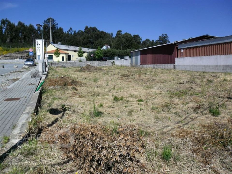 Terra a Campo e Tamel, Braga - foto 2