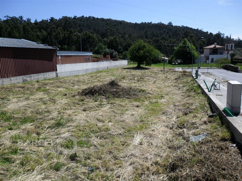 Terra a Campo e Tamel, Braga - foto 3