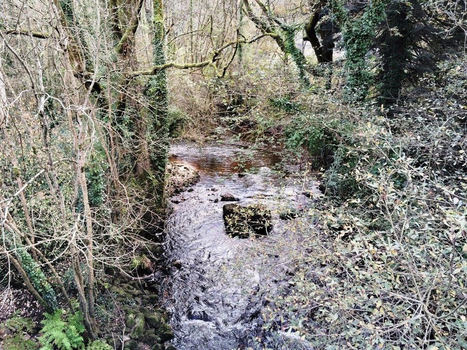 Erhvervsejendom i Priziac, Morbihan - foto 3