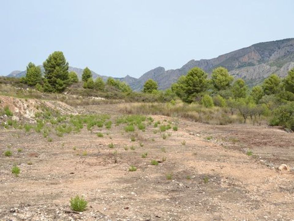 Terra a Guadalest, Alicante - foto 2