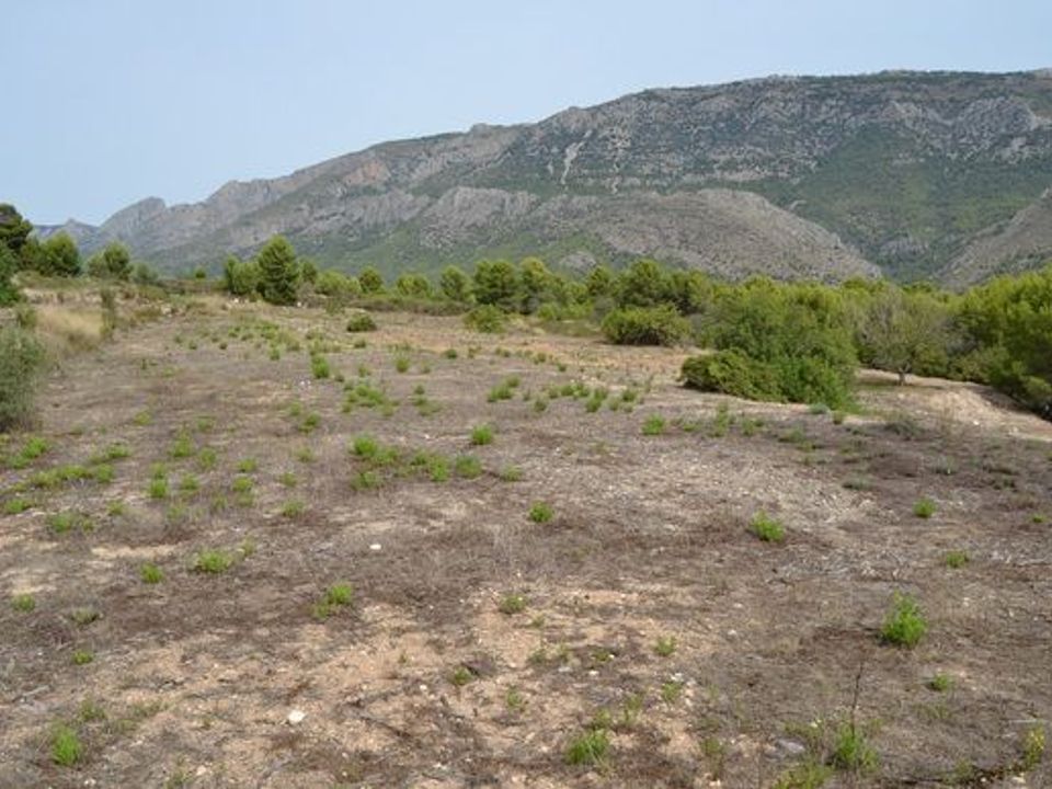 Terra a Guadalest, Alicante - foto 4