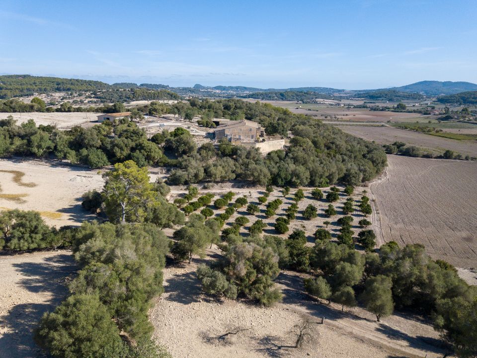Finca i Montuiri, Mallorca - foto 4