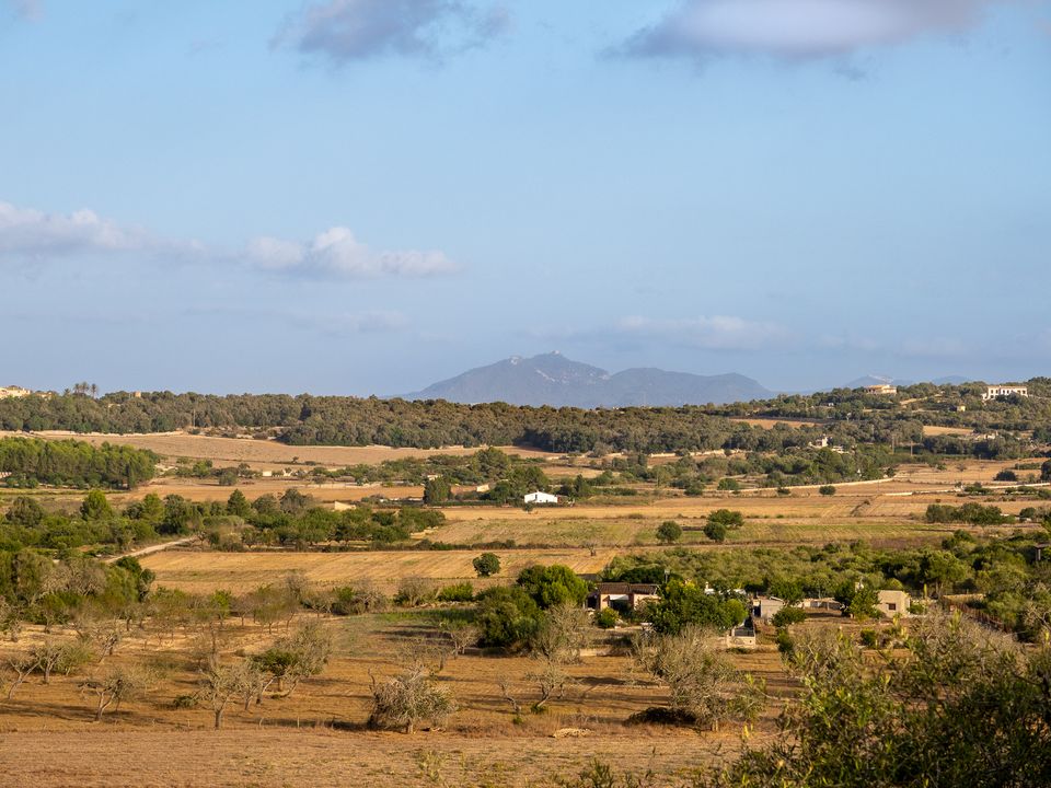 Finca i Montuiri, Mallorca - foto 5