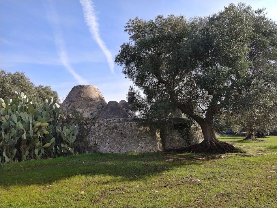Landejendom i Ostuni, Brindisi - foto 4