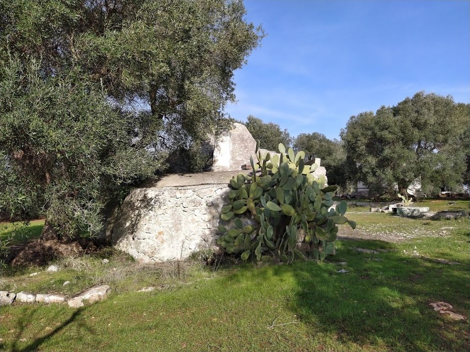 Landejendom i Ostuni, Brindisi - foto 3