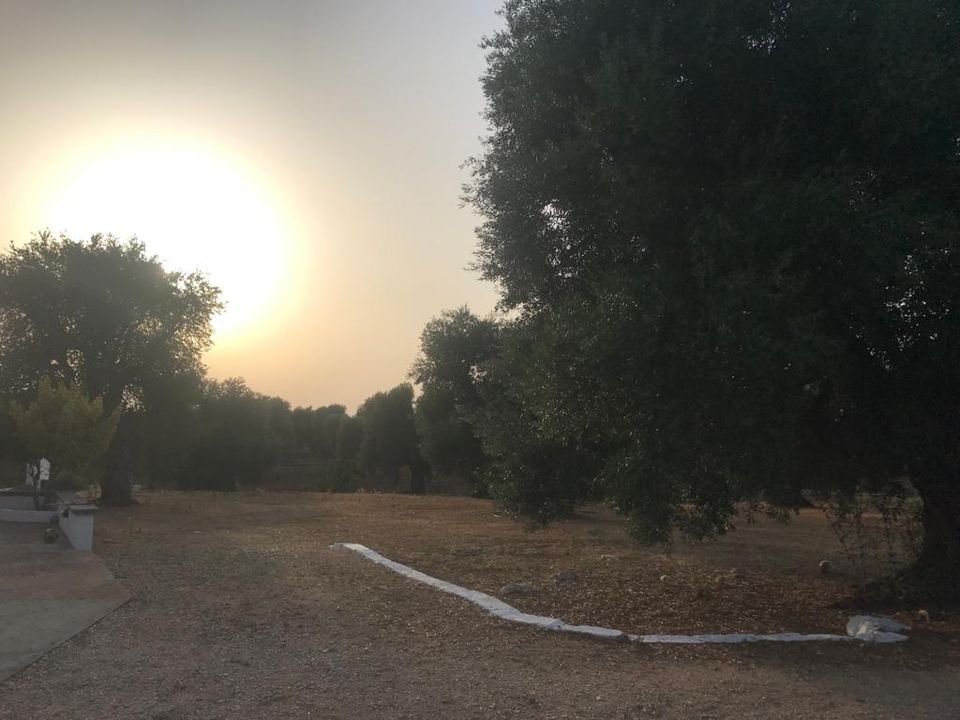 Casa de campo en Fasano, Brindisi - foto 3