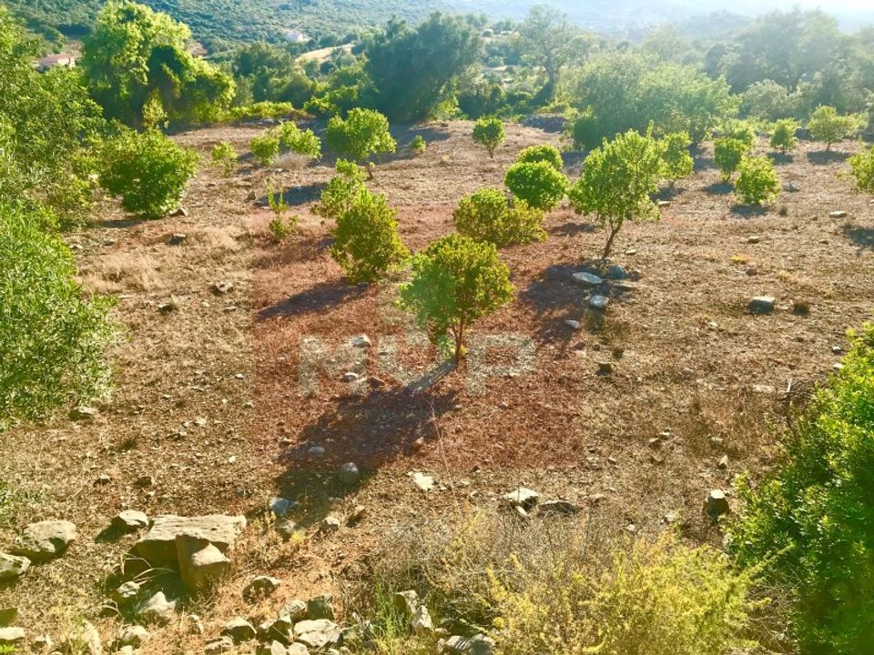 Helårsgrund i Estoi, Faro - foto 3