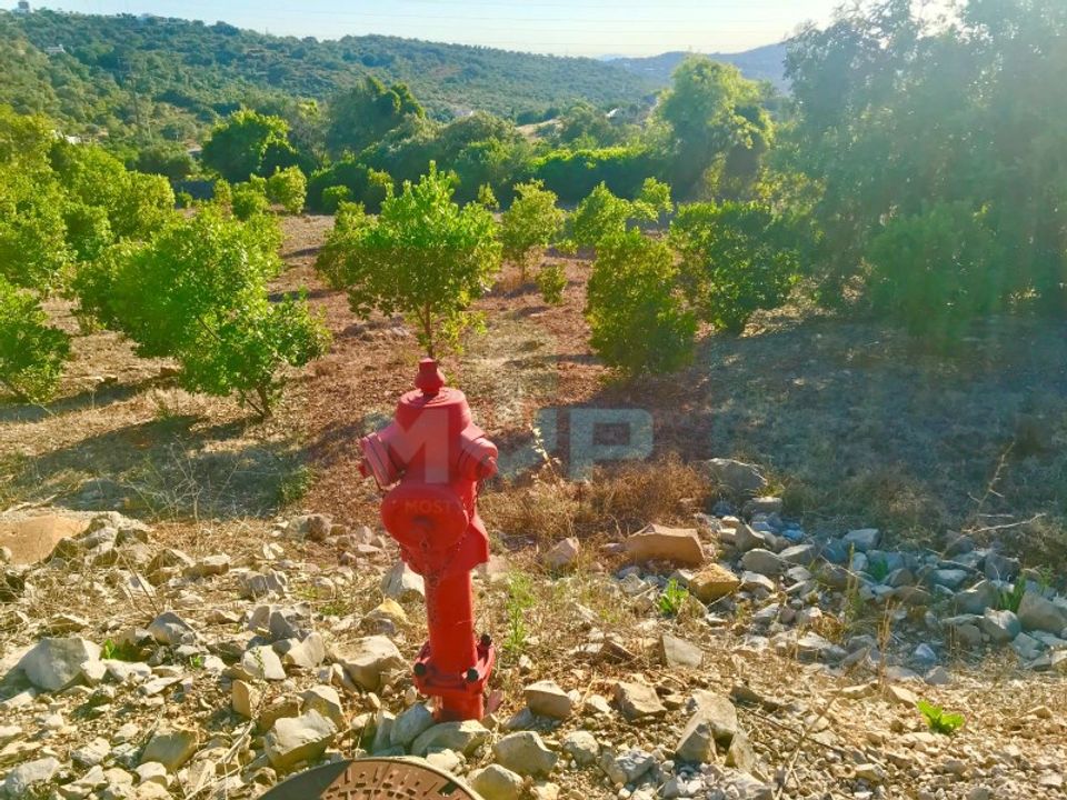 Helårsgrund i Estoi, Faro - foto 4