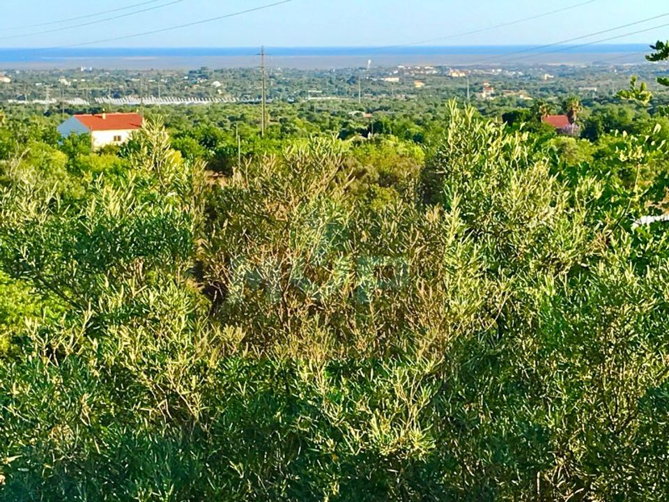 Helårsgrund i Estoi, Faro - foto 2