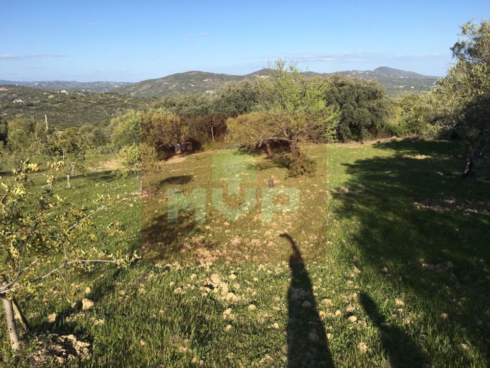 Helårsgrund i Santa Barbara de Nexe, Faro - foto 1