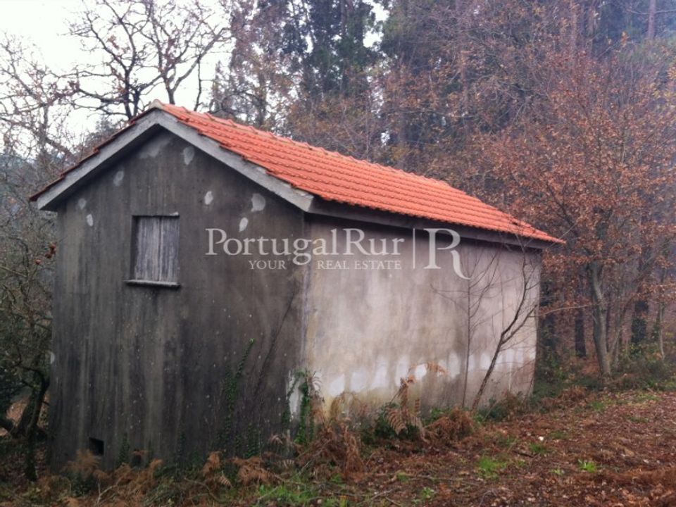 Gård i Sever do Vouga, Aveiro - bilde 3