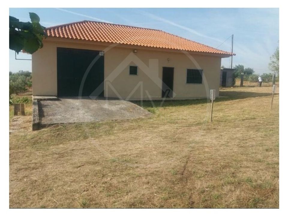 Gård i Alvite e Passos, Braga - bilde 1