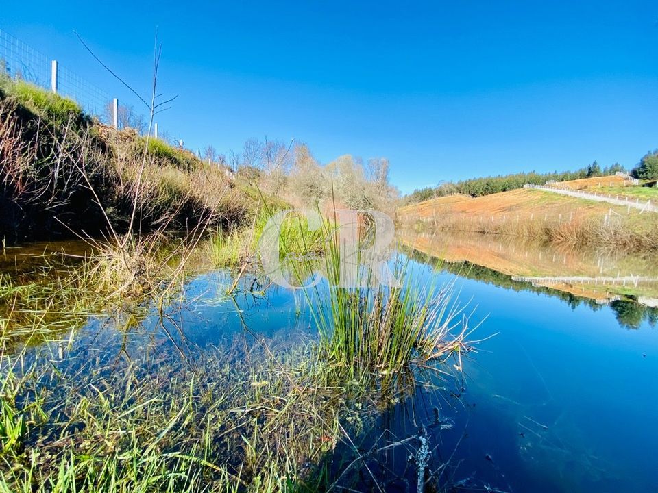 Helårsgrund i Pedrogao Grande, Leiria - foto 2