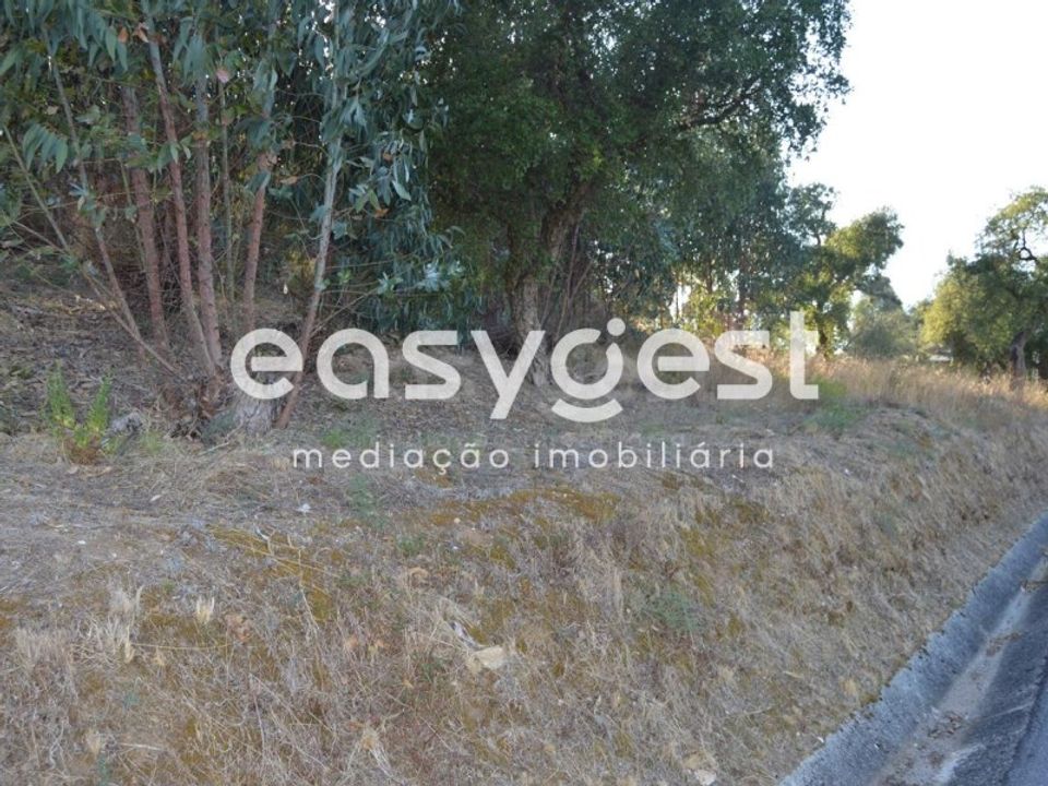 Helårsgrund i Vila Nova da Barquinha, Santarem - foto 4