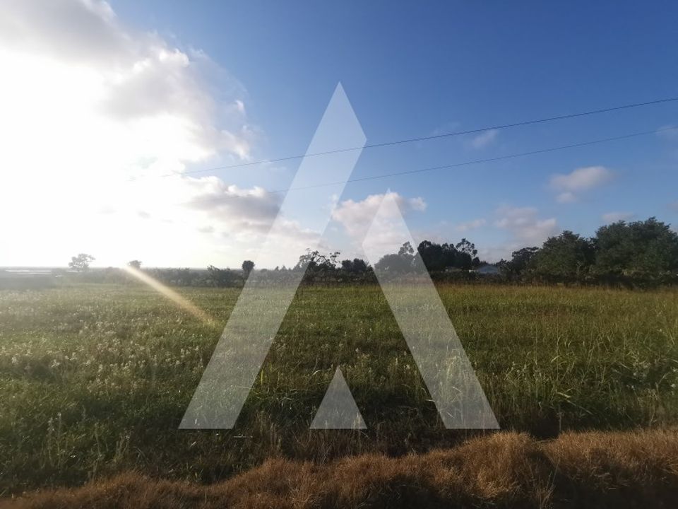 Helårsgrund i Aveiro, Aveiro - foto 1