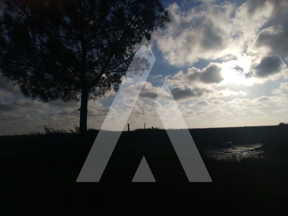 Helårsgrund i Aveiro, Aveiro - foto 4