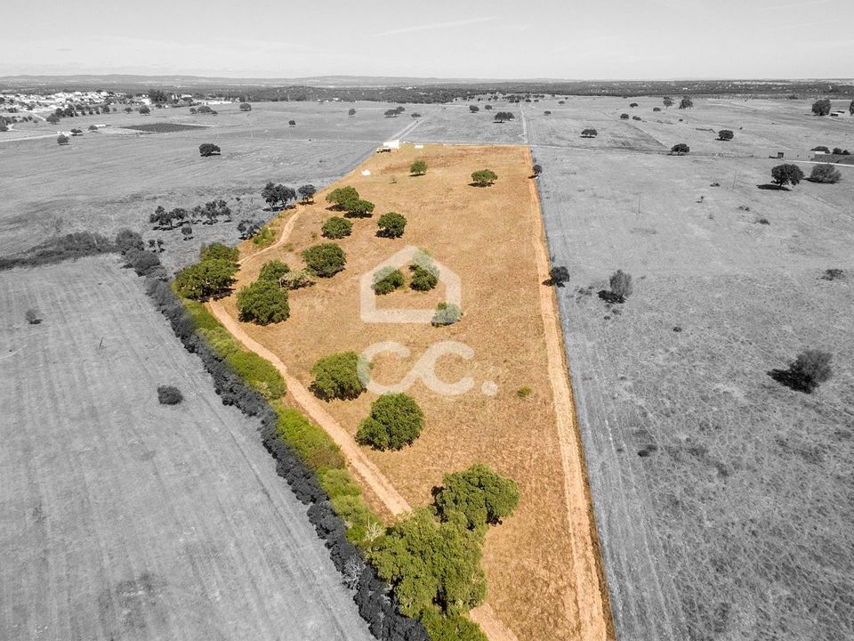 Farm hus i Viana do Alentejo, Evora - foto 3