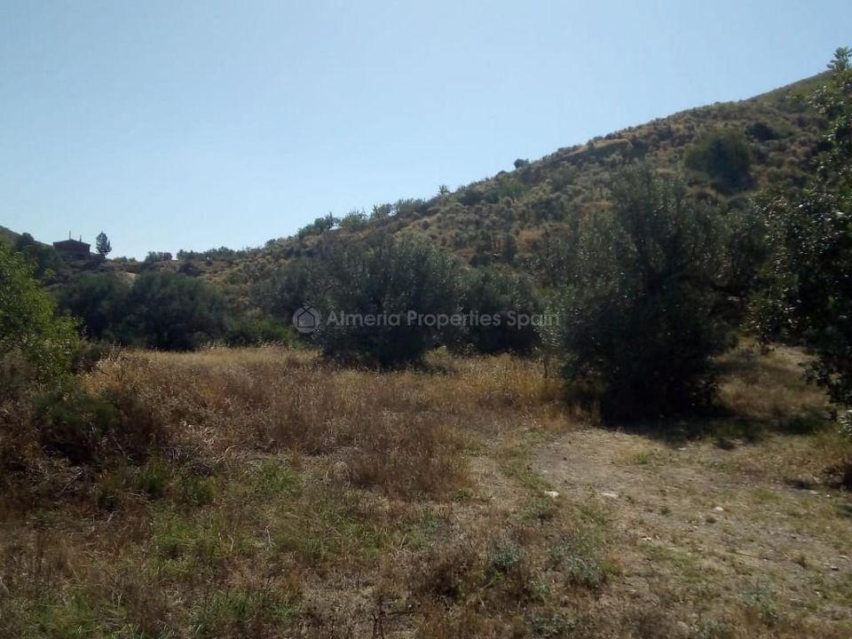 Farm hus i Arboleas, Almeria - foto 5