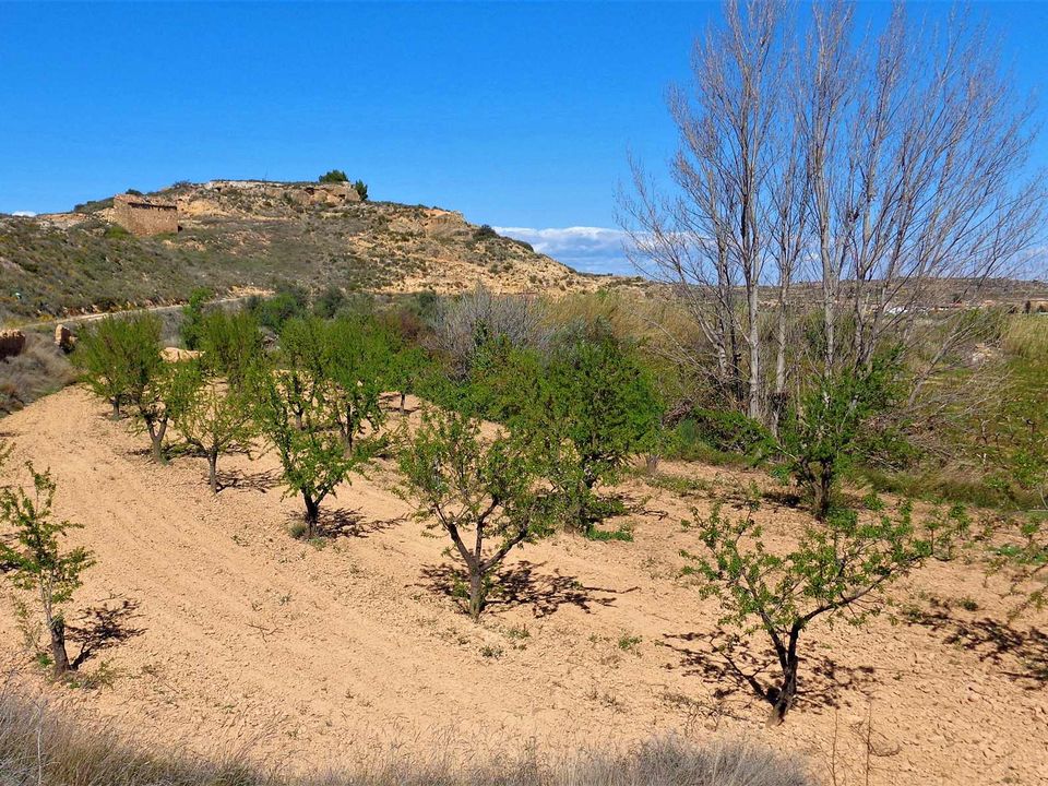 Finca i Maella, Zaragoza - bilde 5
