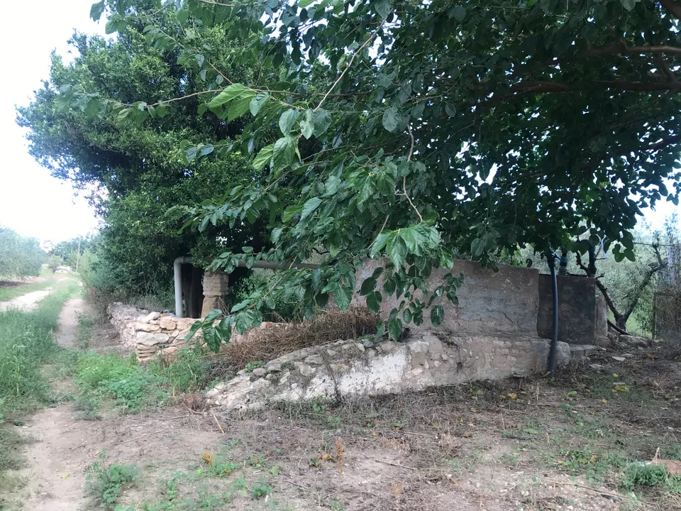 Finca i Mora La Nova, Tarragona - foto 5