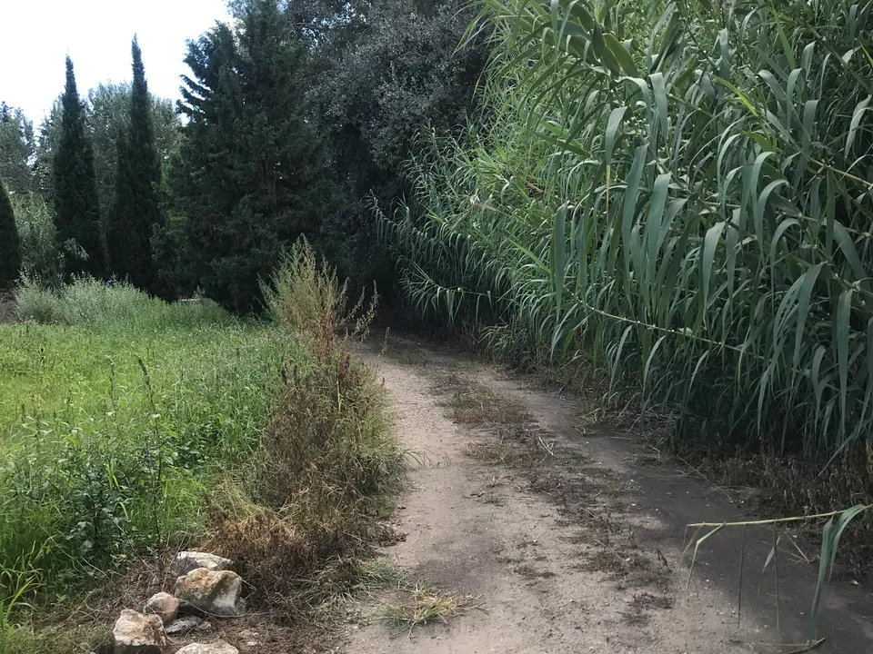 Finca i Mora La Nova, Tarragona - foto 4