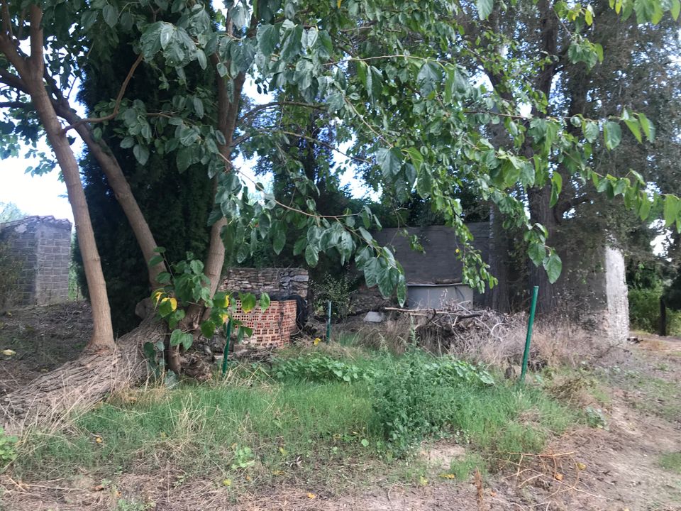 Finca i Mora La Nova, Tarragona - foto 2