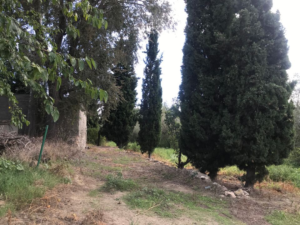 Finca i Mora La Nova, Tarragona - foto 3