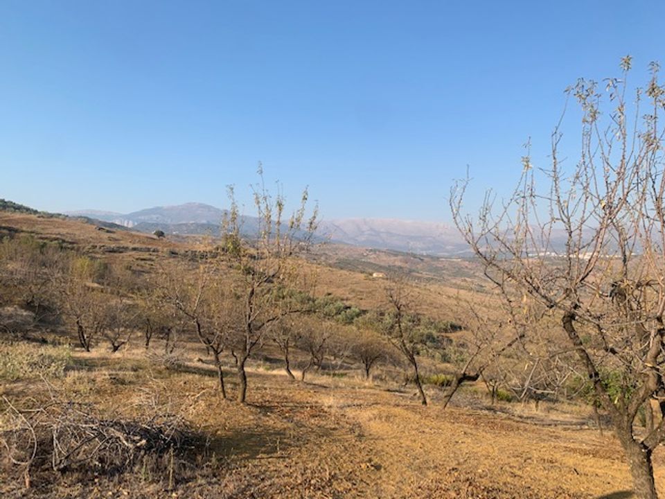 Helårsgrund i Vinuela, Malaga - foto 2