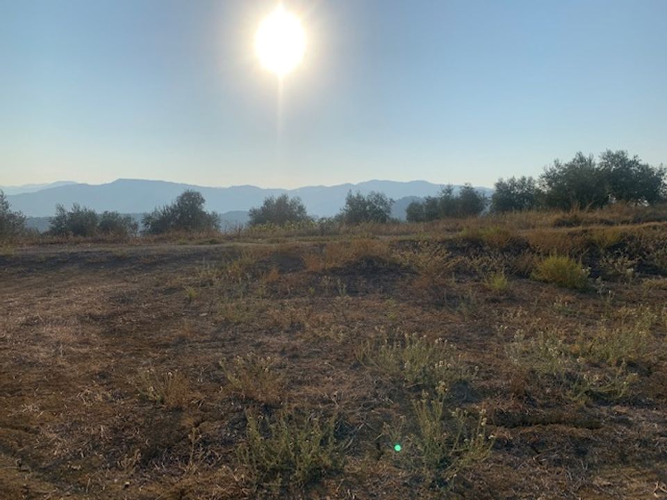 Helårsgrund i Vinuela, Malaga - foto 4