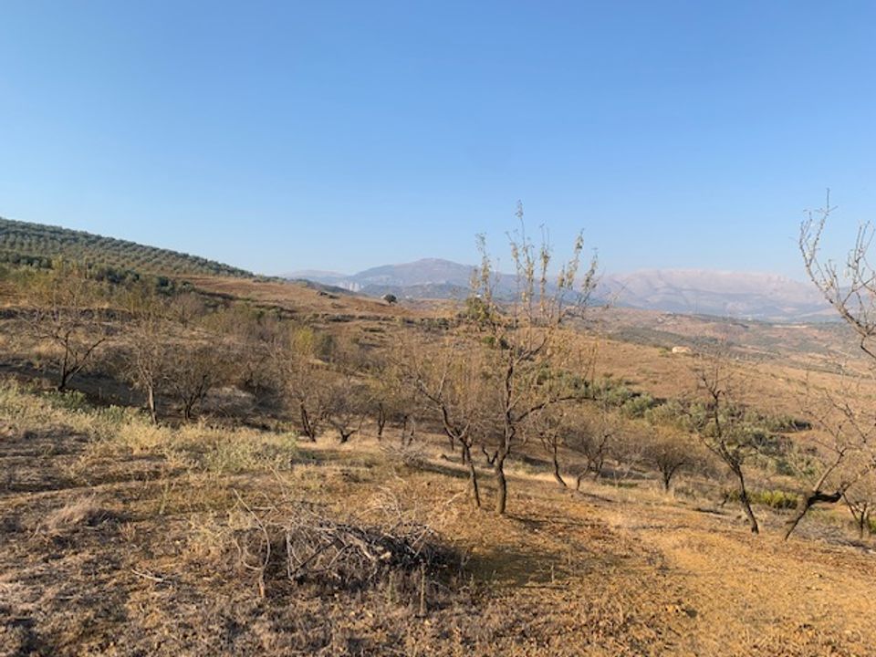 Helårsgrund i Vinuela, Malaga - foto 5