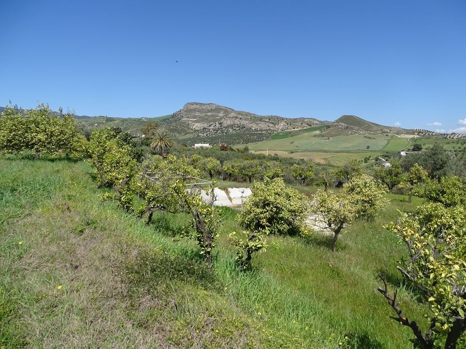 Finca i Alora, Malaga - foto 2