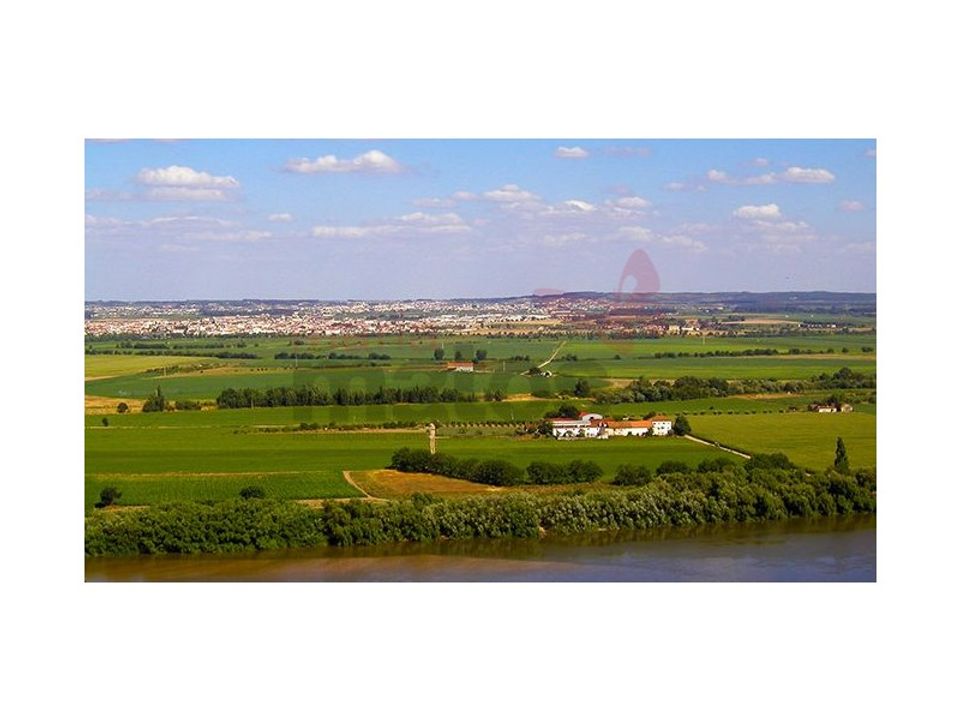 Erhvervsejendom i Almeirim, Santarem - foto 4