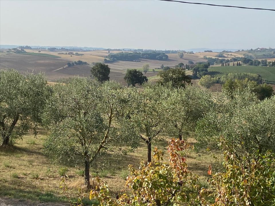Villa a Castiglione del Lago, Perugia - foto 4