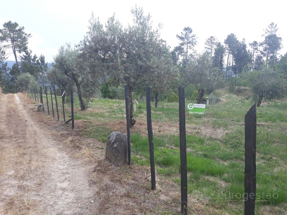 Helårsgrund i Viseu, Viseu - foto 1