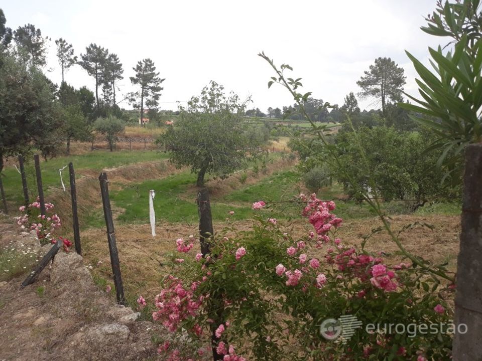 Helårsgrund i Viseu, Viseu - foto 2