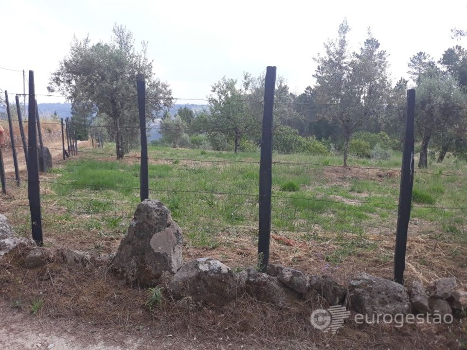 Helårsgrund i Viseu, Viseu - foto 3
