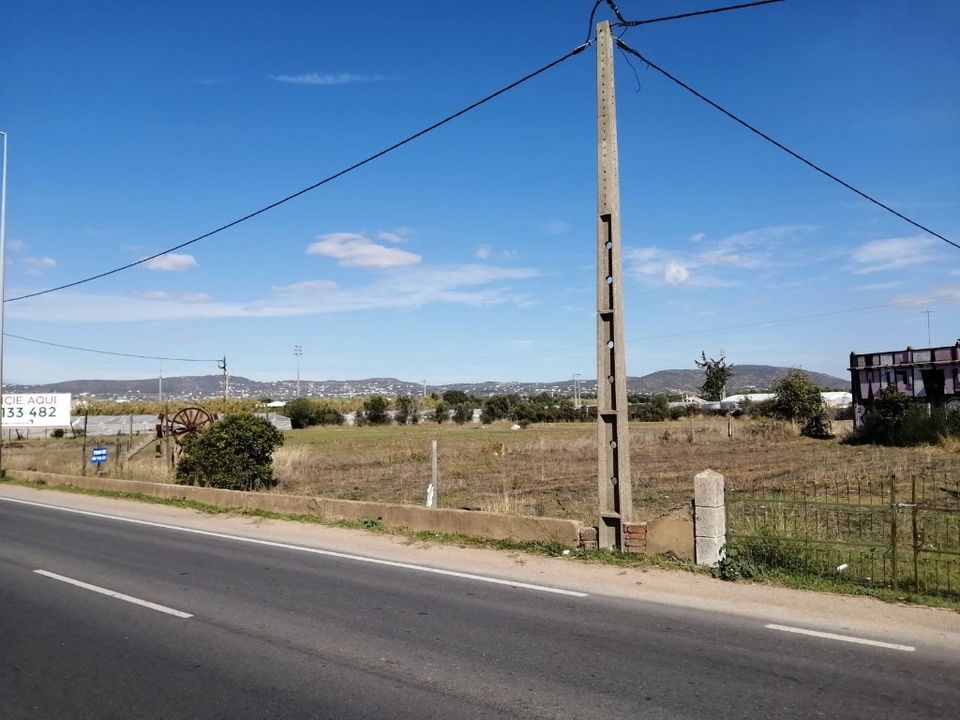 Helårsgrund i Benavente, Santarem - foto 1