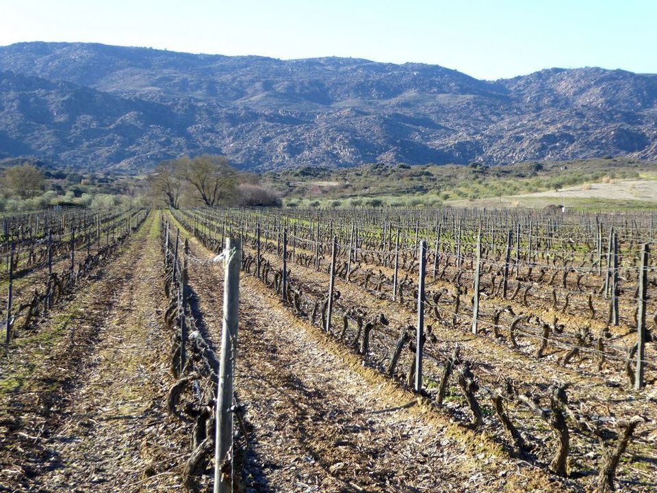 Farm i Alfandega da Fe, Braganca - foto 3