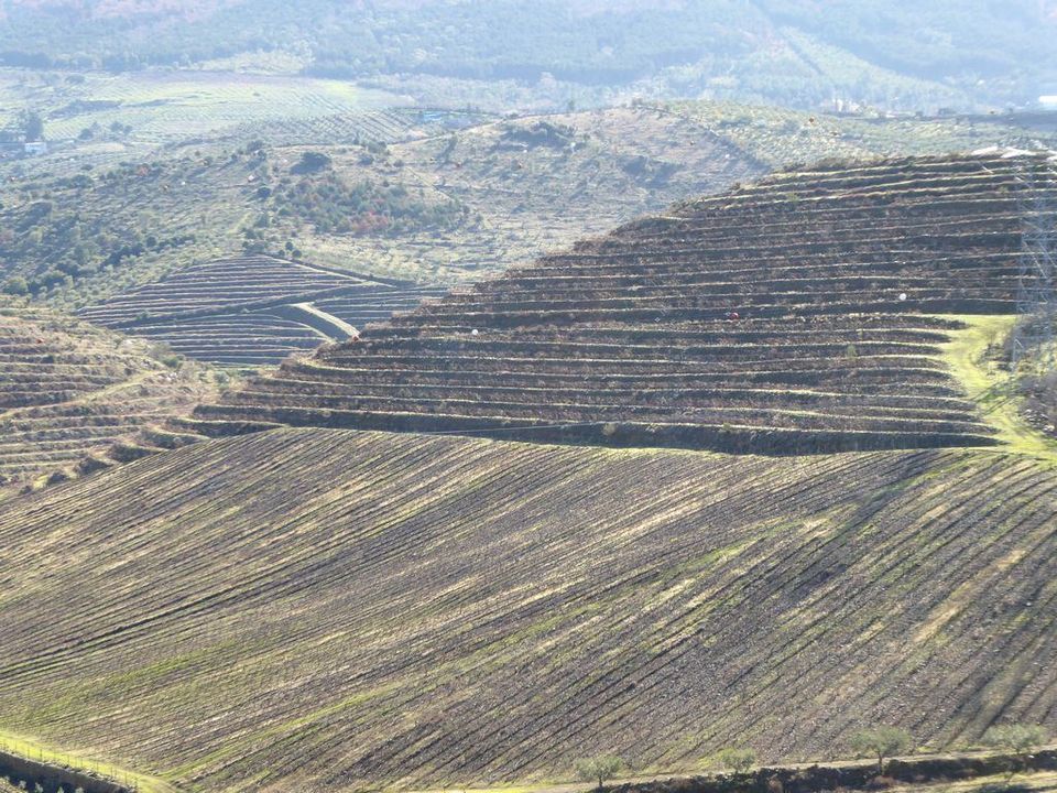 Farm i Alfandega da Fe, Braganca - foto 5