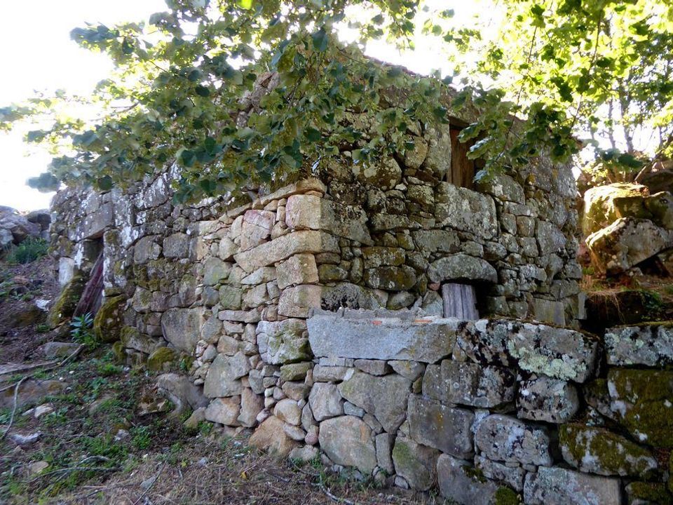 Farm i Marco de Canaveses, Porto - foto 1