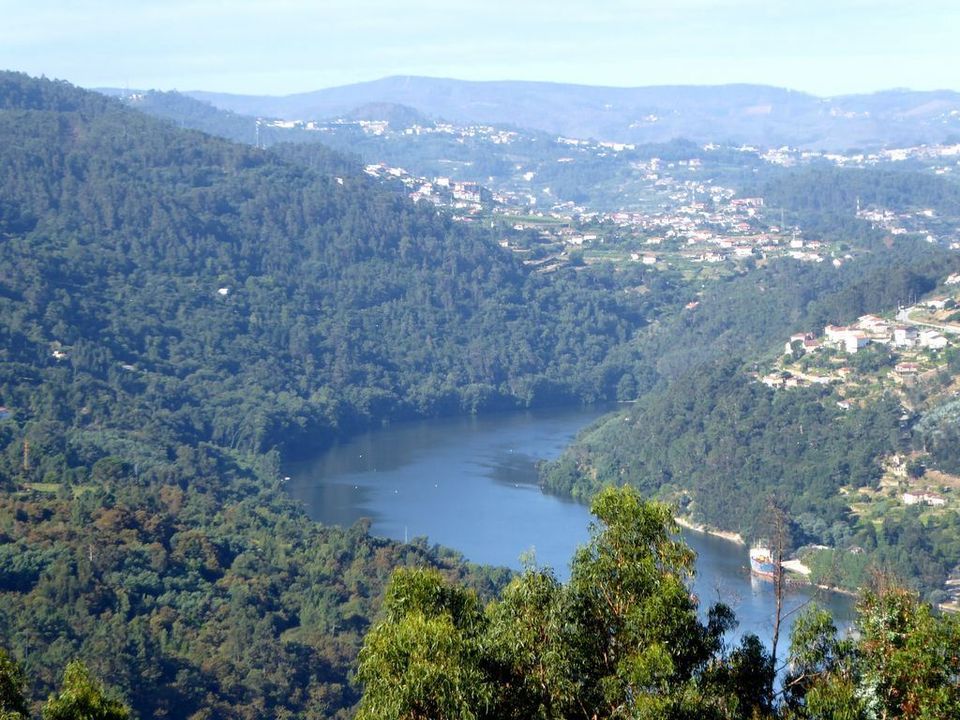 Farm i Marco de Canaveses, Porto - foto 3