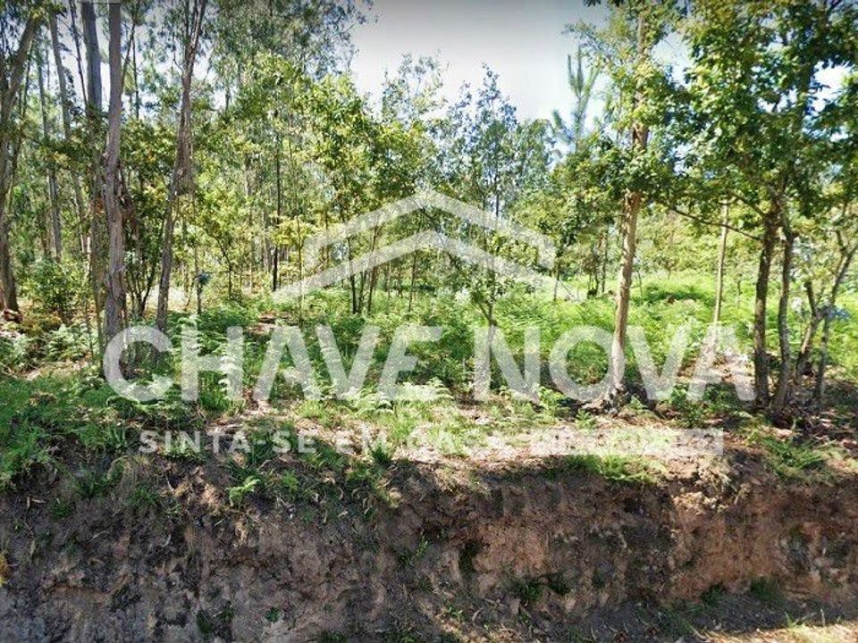 Helårsgrund i Oliveira de Azemeis, Aveiro - foto 1