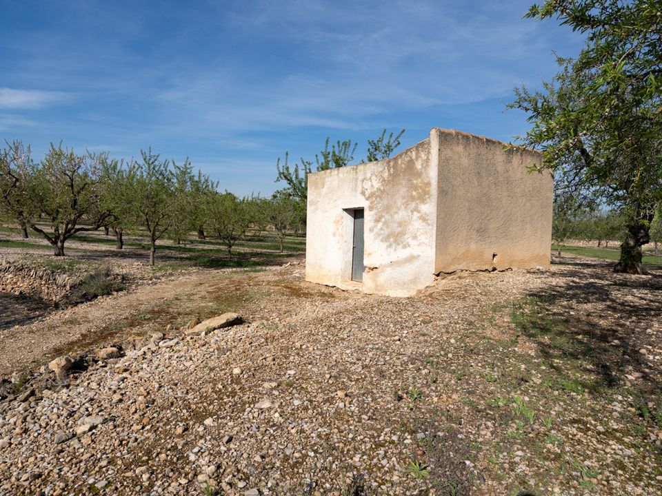 Finca i La Galera, Tarragona - bilde 2