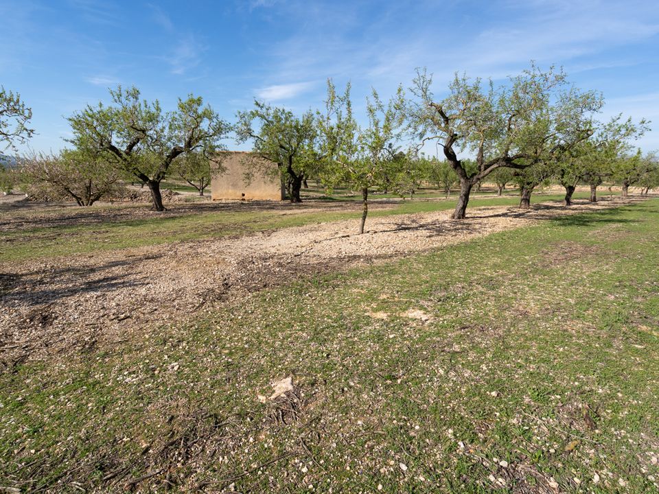 Finca i La Galera, Tarragona - bilde 4