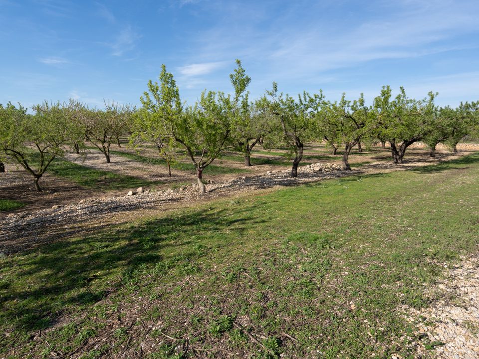 Finca i La Galera, Tarragona - bilde 5